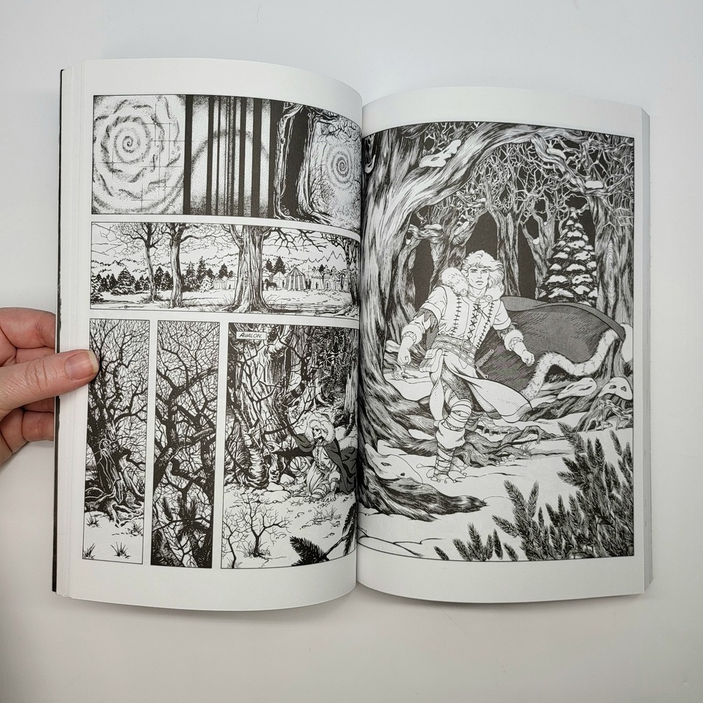 A Distant Soil LOT 1-2 Colleen Doran Compilations The Gathering The Ascendant - Picture 6 of 16